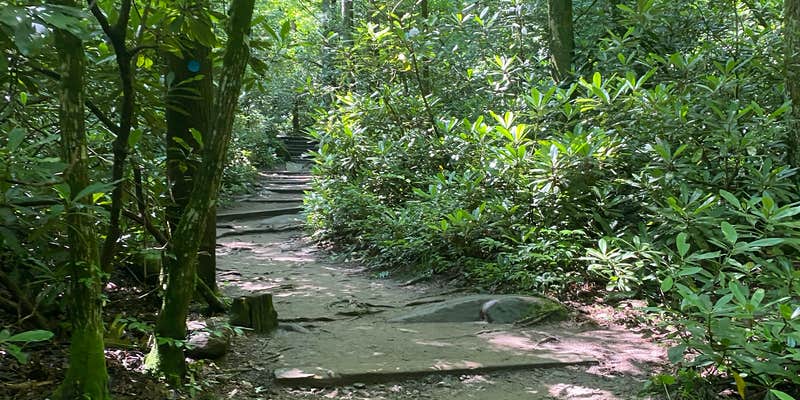 Camper submitted image from South Mountains State Park Family Campground