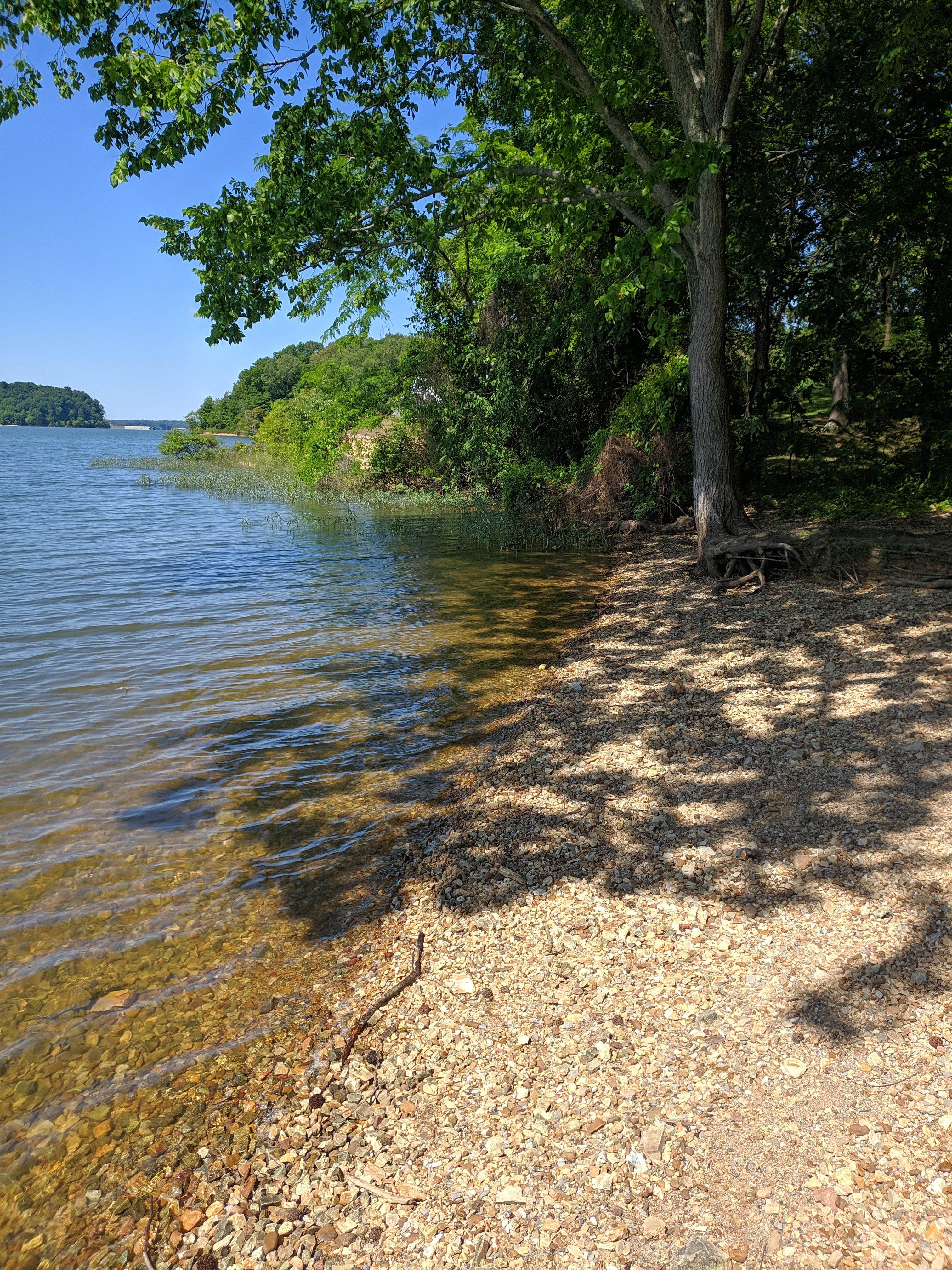 Camper-submitted photo at Smith Bay Campground near Benton, KY