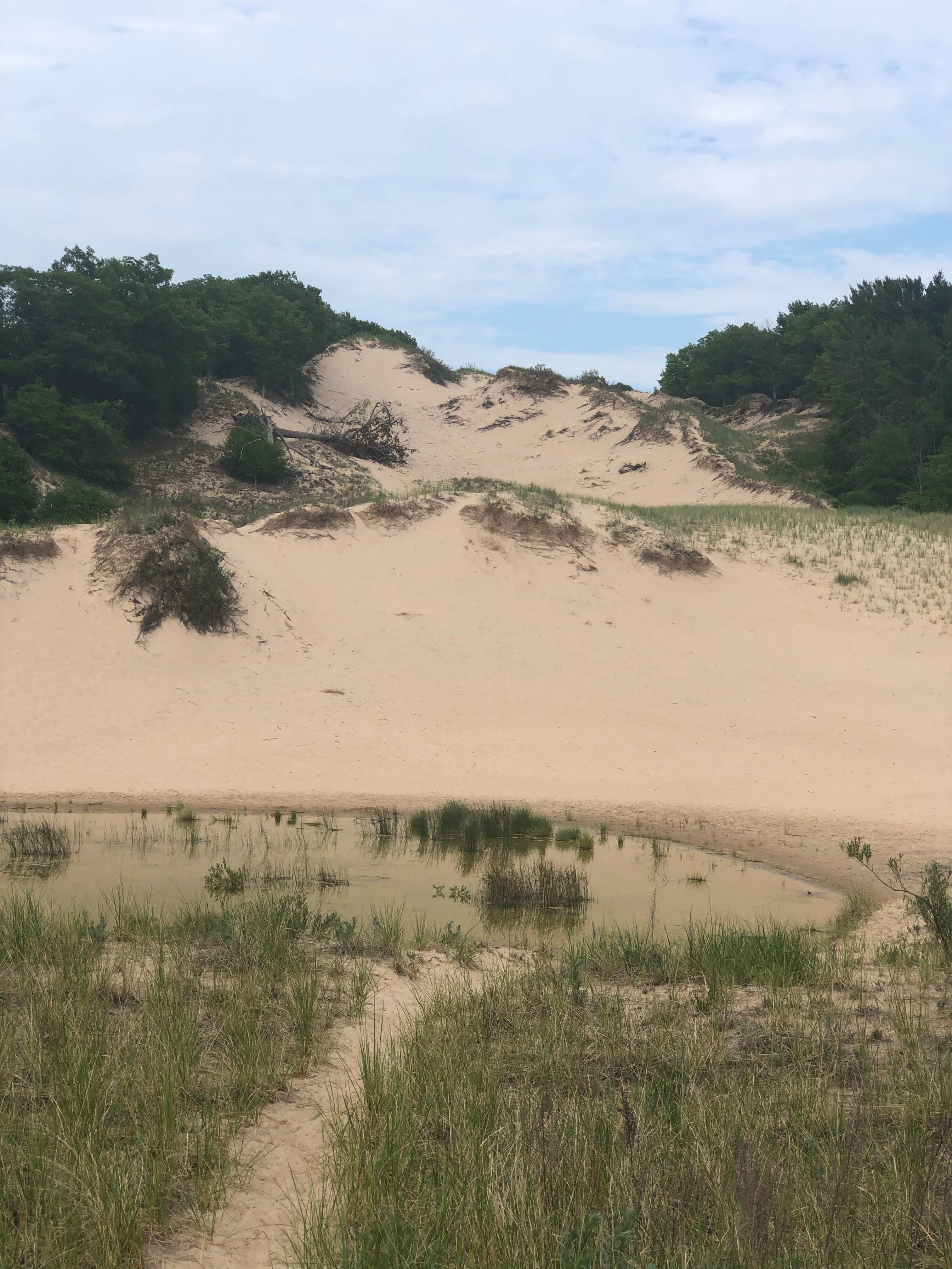 Camper-submitted photo at Meinert County Park near Whitehall, MI