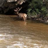 Review photo of Longs Peak Campground — Rocky Mountain National Park by Macel C., June 7, 2019