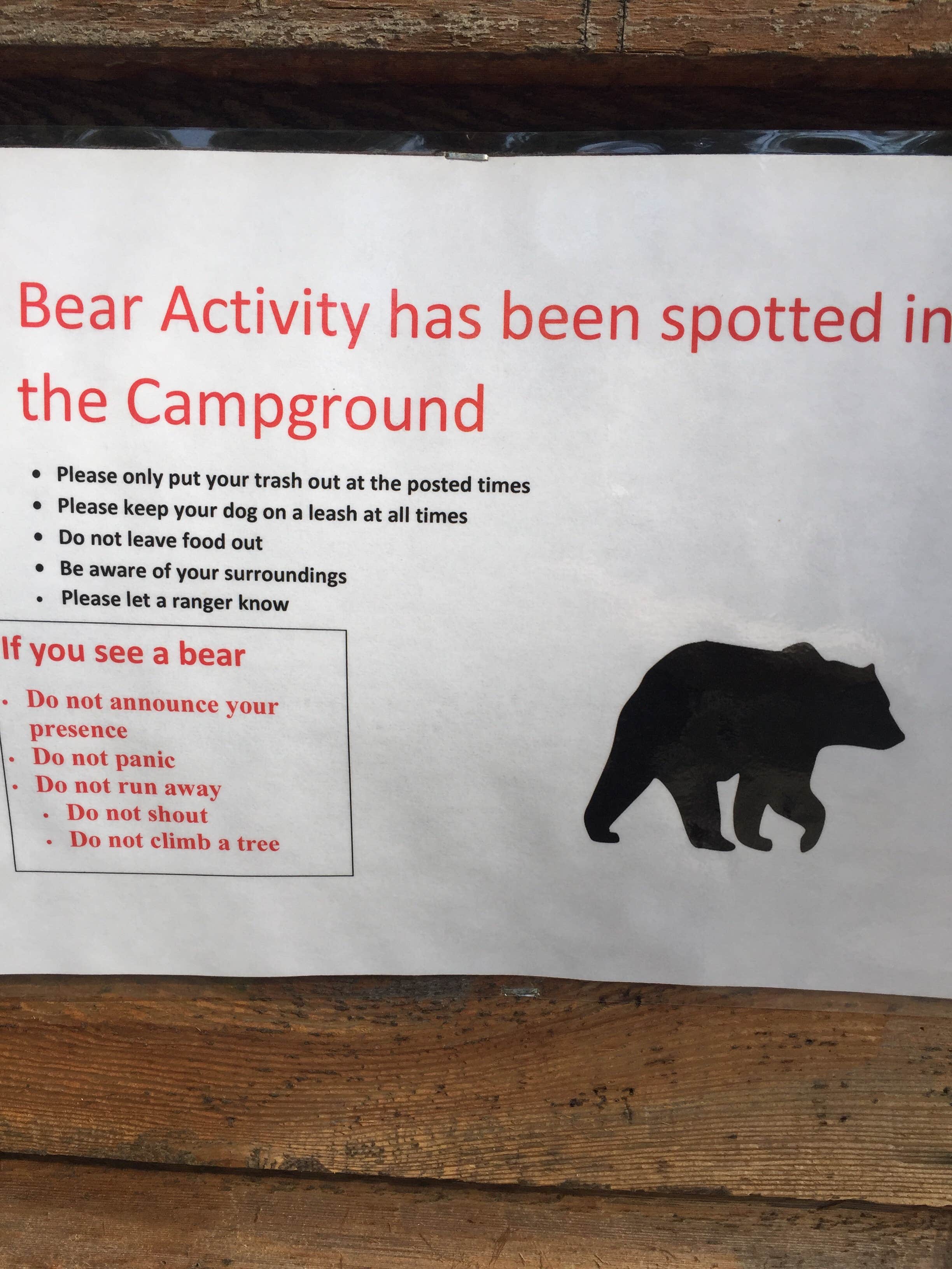 Camper submitted image from Oconee State Park Campground - 4