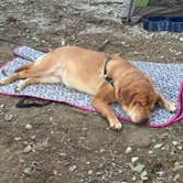 Review photo of Oconee State Park Campground by Jay B., June 21, 2020