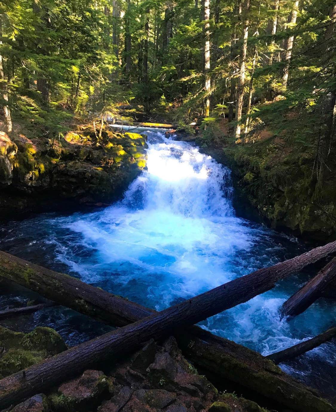 Camper-submitted photo at Whitehorse Falls Campground near Clearwater, OR