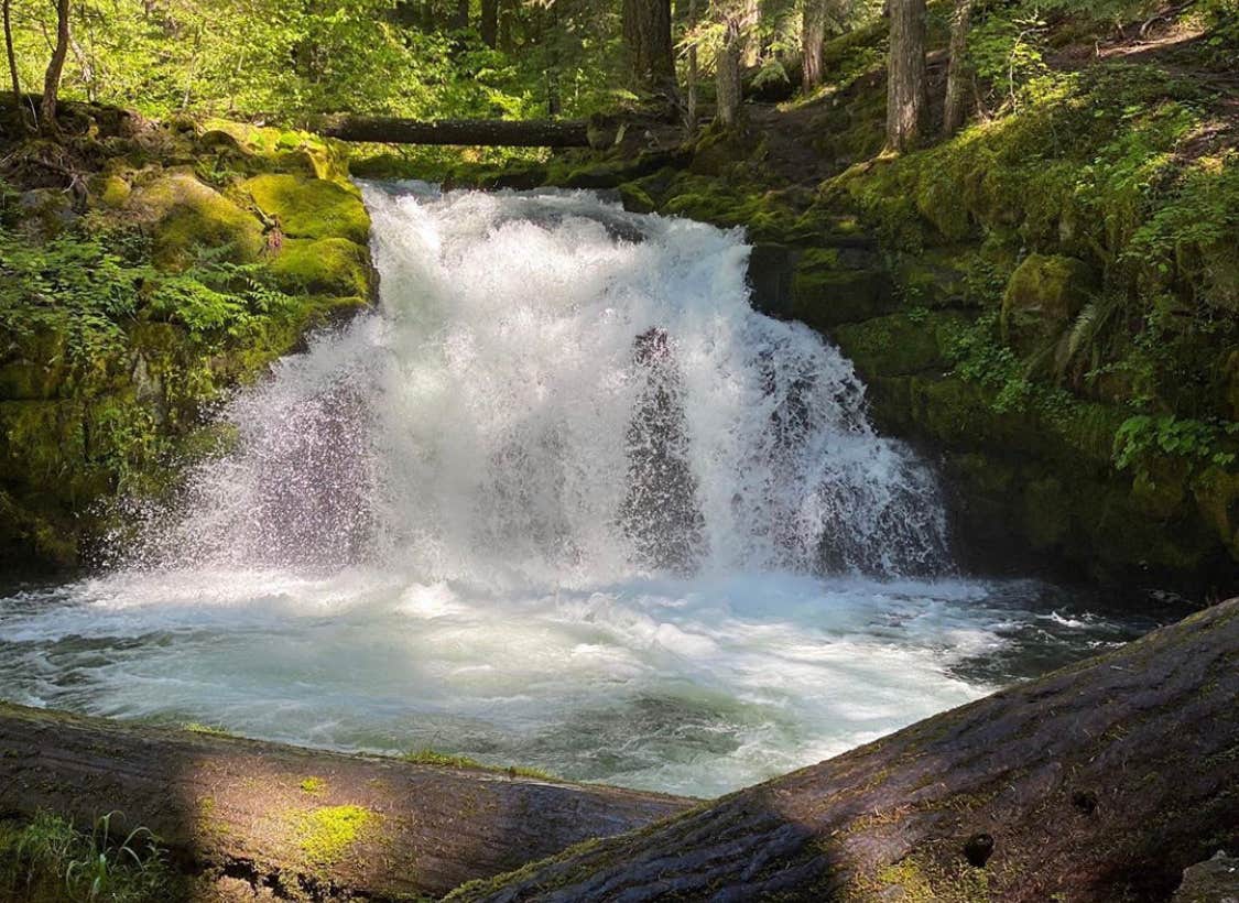 Camping near Camas Creek Campground: Whitehorse Falls Campground, Clearwater, Oregon