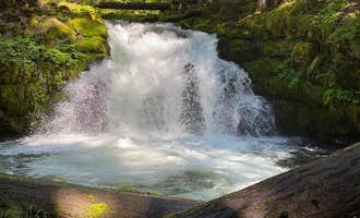 Camping near Diamond Lake: Whitehorse Falls Campground, Clearwater, Oregon
