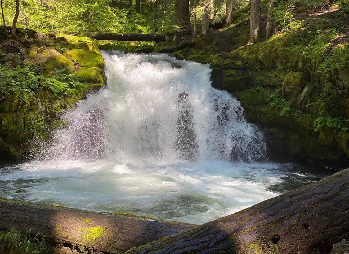 Camper submitted image from Whitehorse Falls Campground - 1