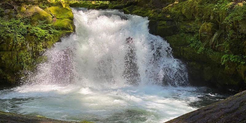 Camper submitted image from Whitehorse Falls Campground