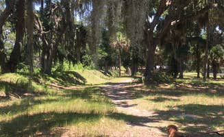 Jay B.'s photo of camping with pets at Fort McAllister State Park Campground near Tybee Island, GA