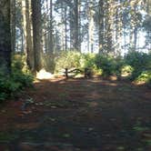 Review photo of Bastendorff Beach Park by Natalie B., October 29, 2017