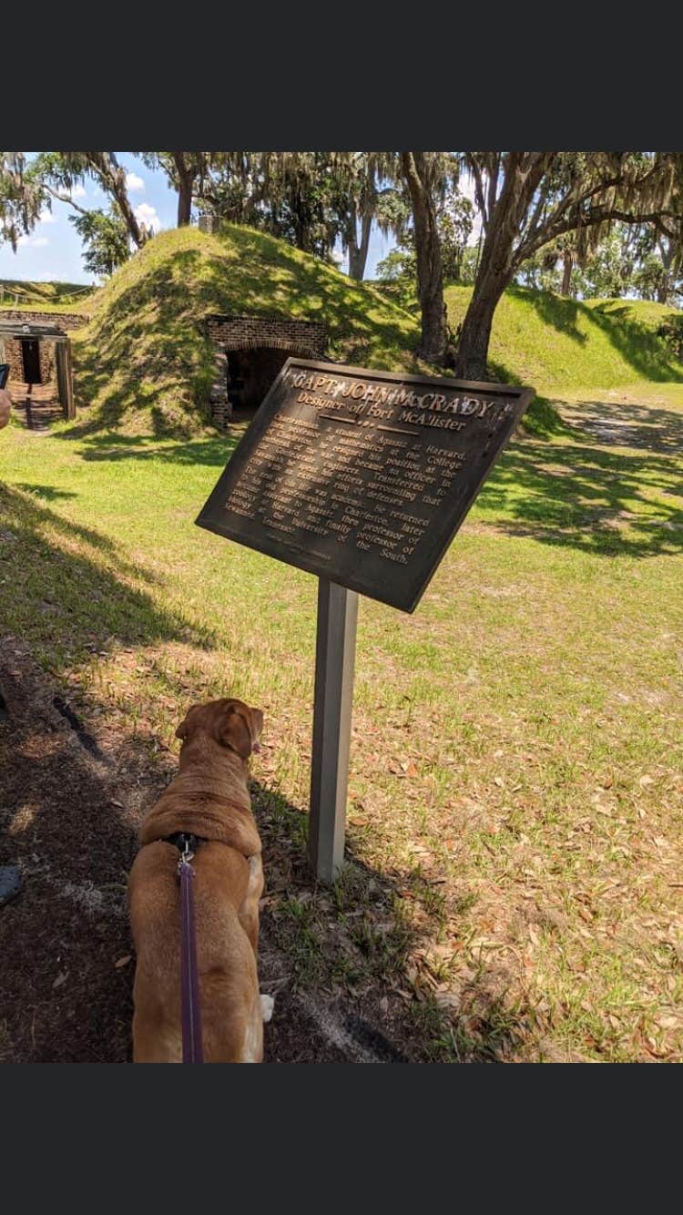 Jay B.'s photo of camping with pets at Fort McAllister State Park Campground near Savannah, GA
