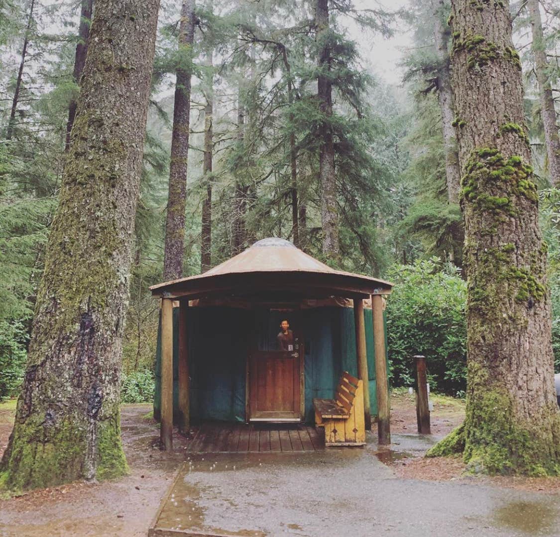 Blaine B.'s photo of a cabin at Jessie M. Honeyman Memorial State Park Campground near Monroe, OR