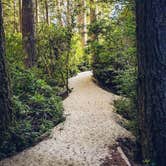 Review photo of Jessie M. Honeyman Memorial State Park Campground by Blaine B., June 21, 2020