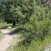 Review photo of Dutch George Campground by Zoi A., June 21, 2020