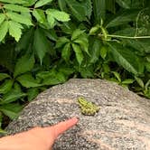 Review photo of Sakatah Lake State Park Campground by Matt C., June 21, 2020