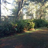 Review photo of Bastendorff Beach Park by Natalie B., October 29, 2017