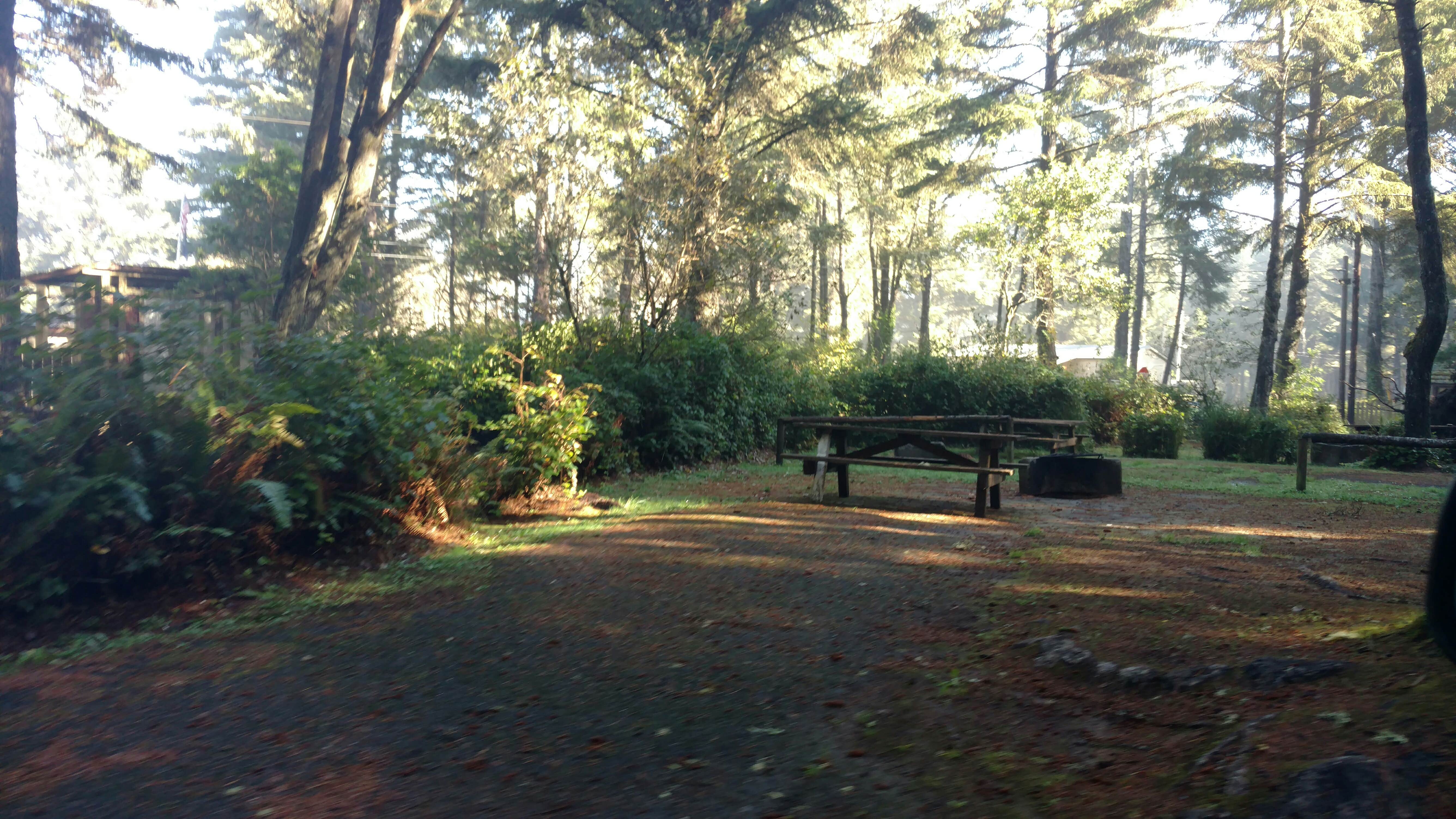 Camper submitted image from Bastendorff Beach Park - 1