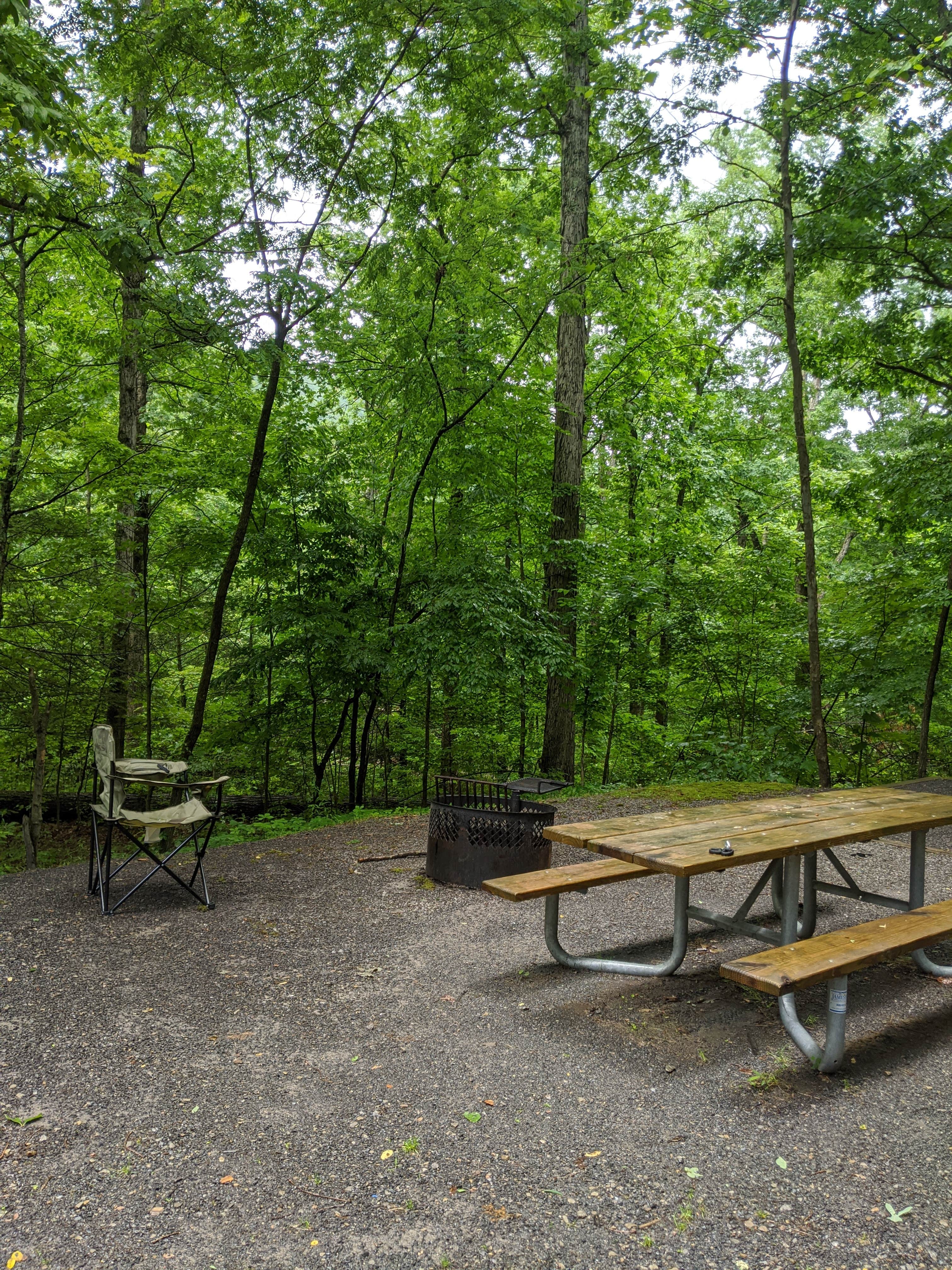 Camper-submitted photo at Seneca Shadows near Glady, WV