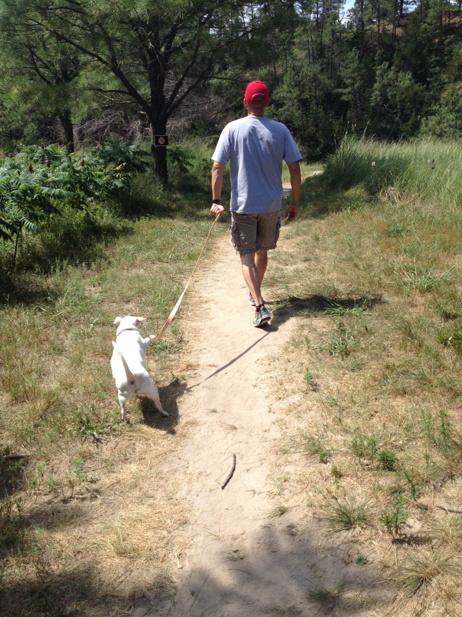 Shannon G.'s photo of camping with pets at Merritt Reservoir Main Area Campground in Nebraska