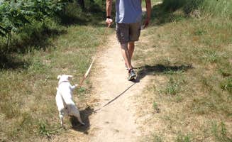 Shannon G.'s photo of camping with pets at Merritt Reservoir Main Area Campground in Nebraska