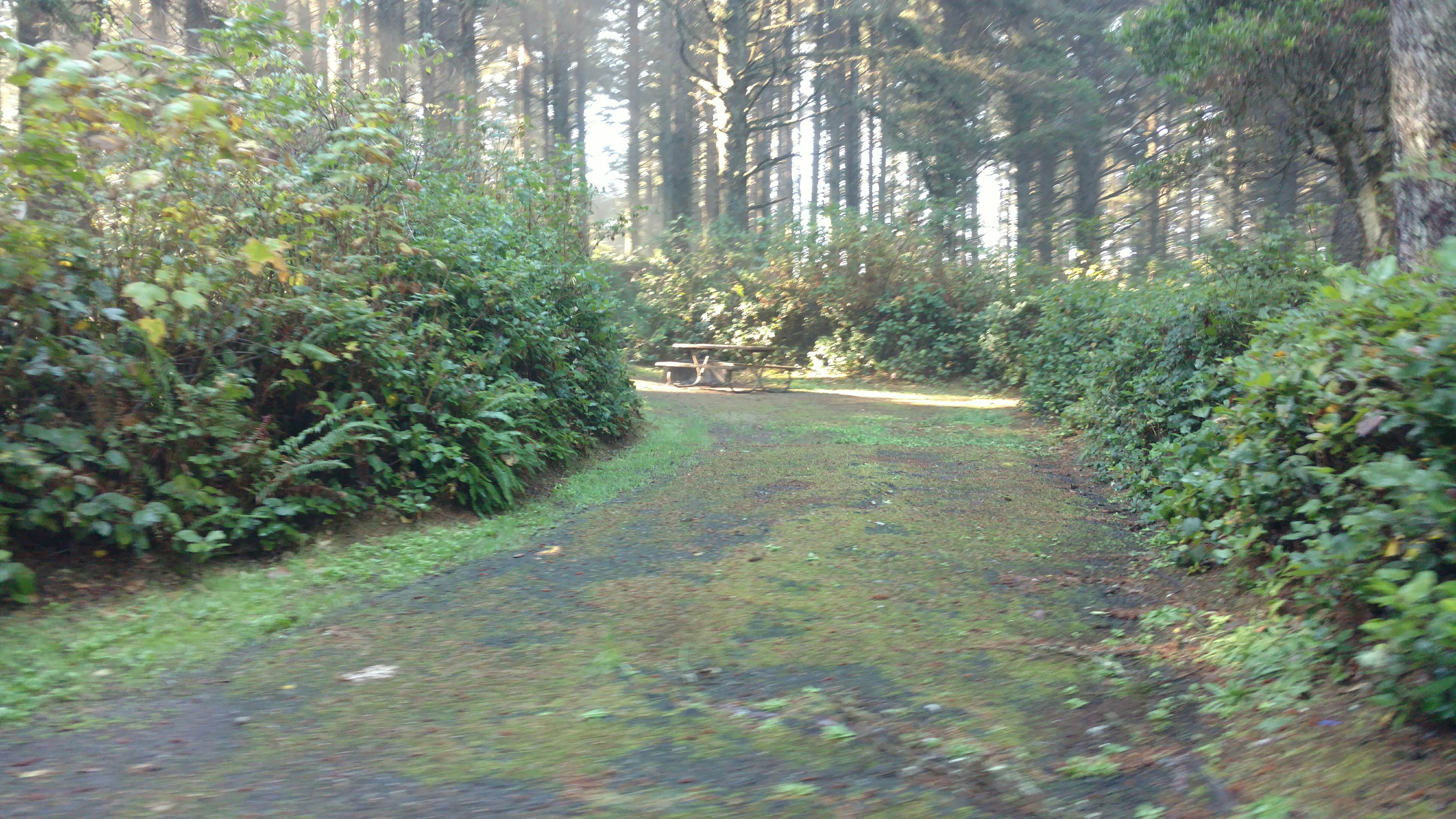 Camper-submitted photo at Bastendorff Beach Park near Bandon, OR