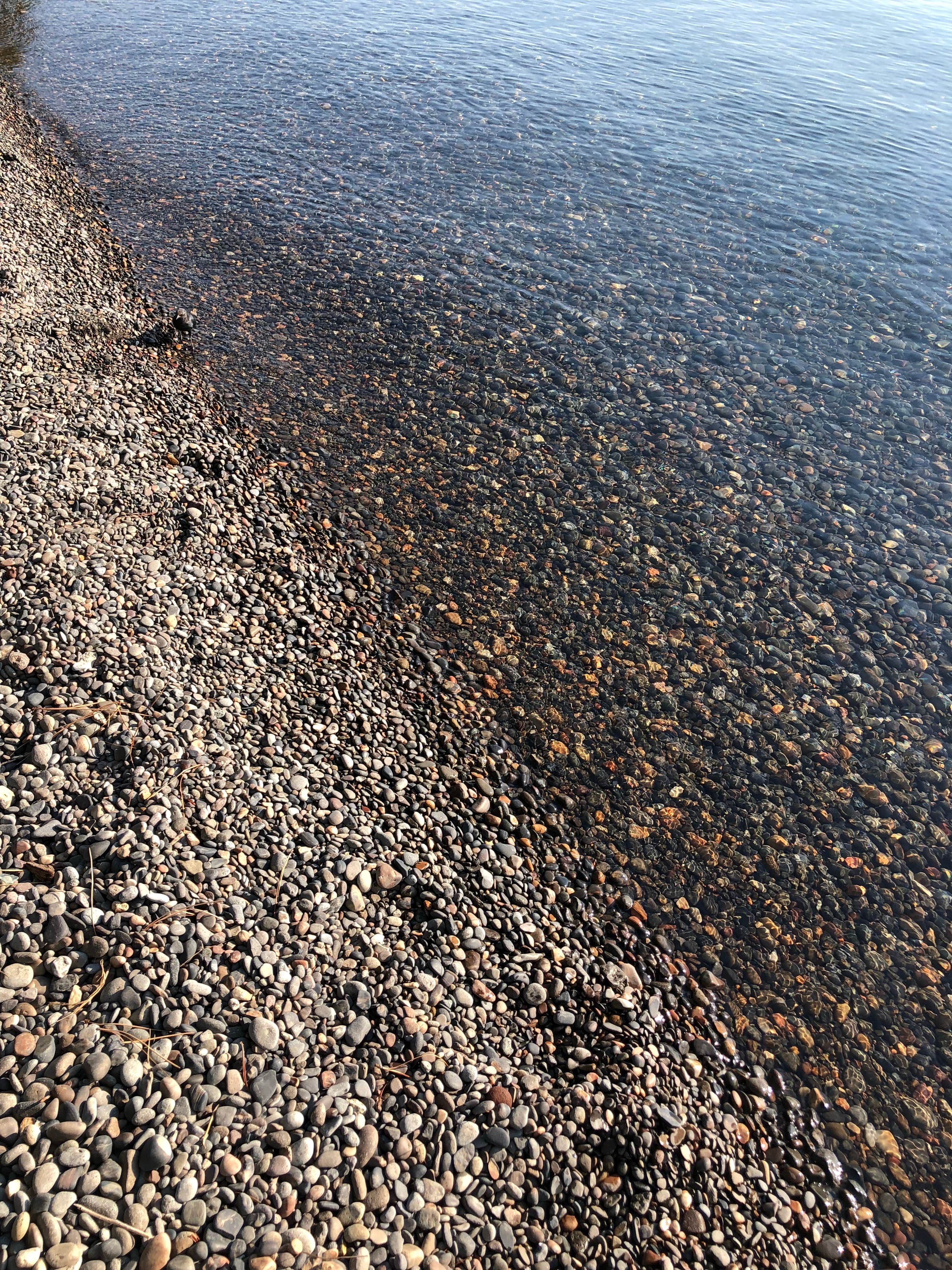 Camper-submitted photo at William Kent Campground near Glenbrook, NV