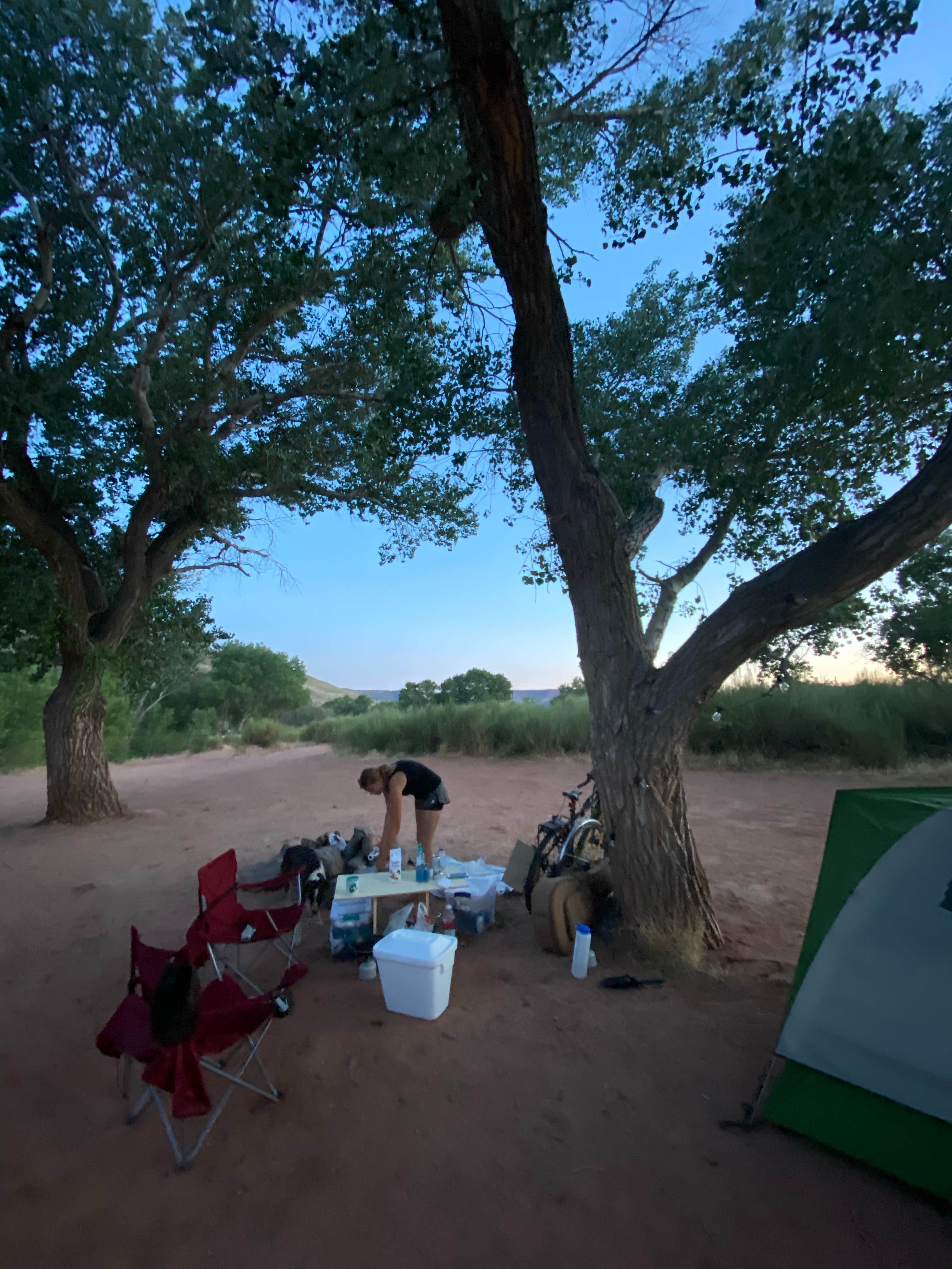 marycatmathis  ..'s photo at Kolob Terrace Road Dispersed near Virgin, UT