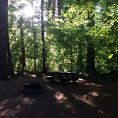 Review photo of Union Creek Campground - Rogue River - TEMPORARILY CLOSED by Madelyn H., June 22, 2020