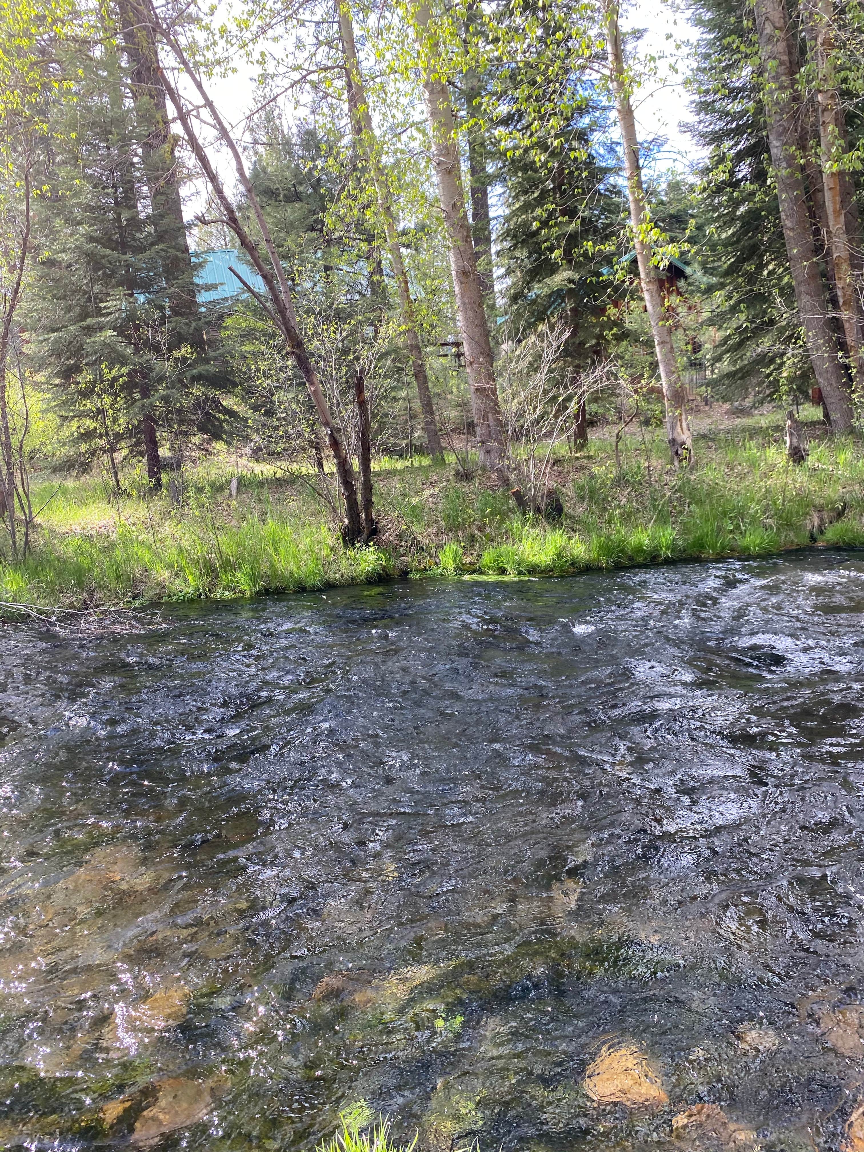 Camper-submitted photo at Hat Creek Resort & RV Park near Lassen Volcanic National Park