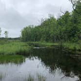 Review photo of Lake Bemidji State Park Campground by David P., June 22, 2020