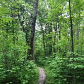 Review photo of Lake Bemidji State Park Campground by David P., June 22, 2020