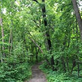 Review photo of Lake Bemidji State Park Campground by David P., June 22, 2020