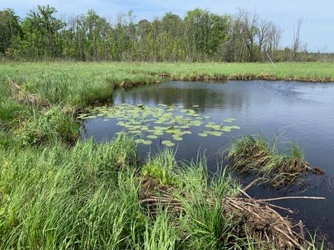 Camper-submitted photo at Rock Lake near Baxter, MN