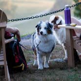 Review photo of Mount Philo State Park Campground by Tara S., October 30, 2017