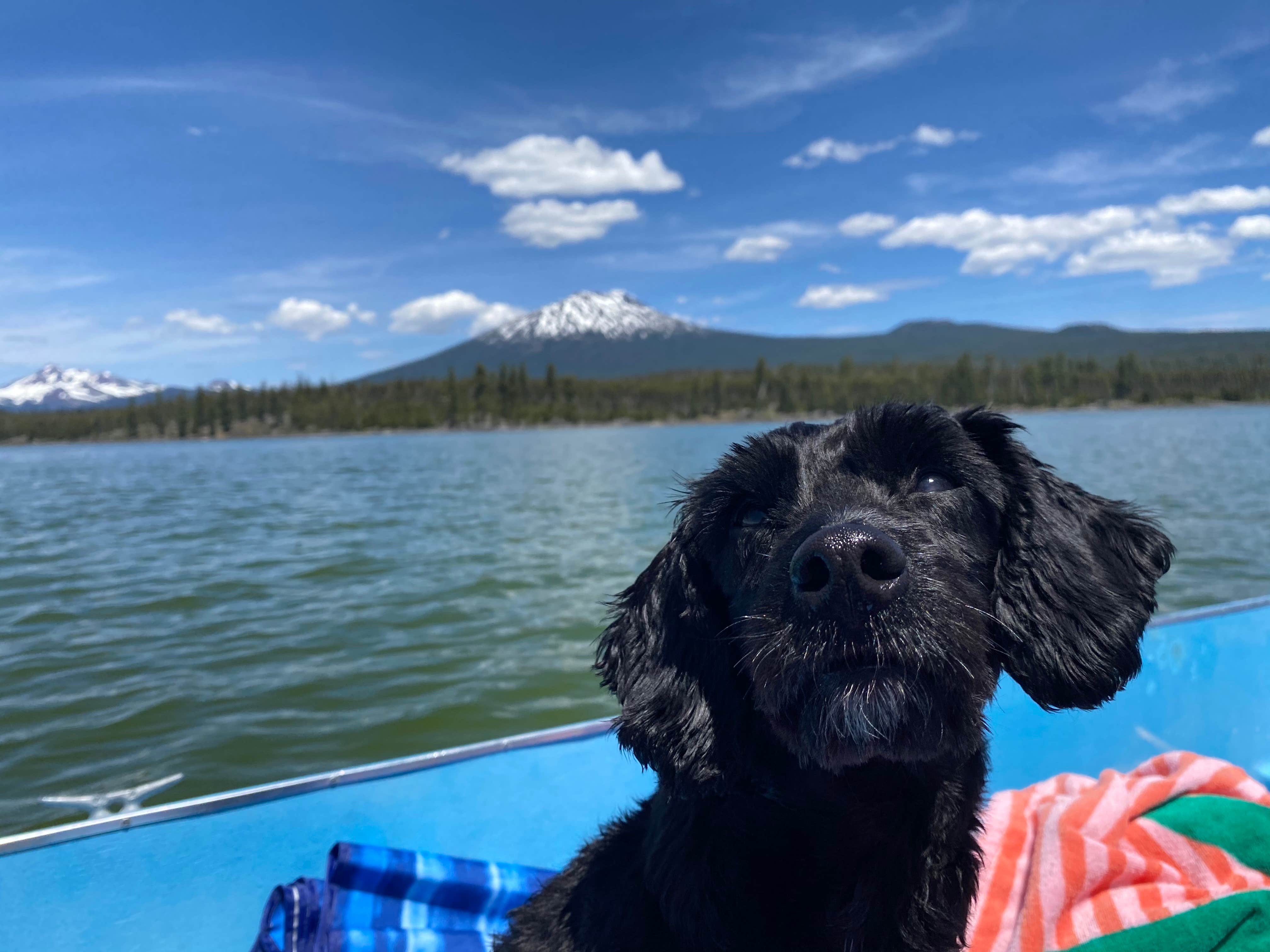 Camping near Elk Lake (Or) — Willamette National Forest: Lava Lake Resort, Sunriver, Oregon