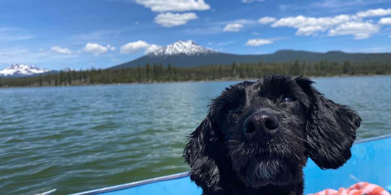 Camper submitted image from Lava Lake Resort