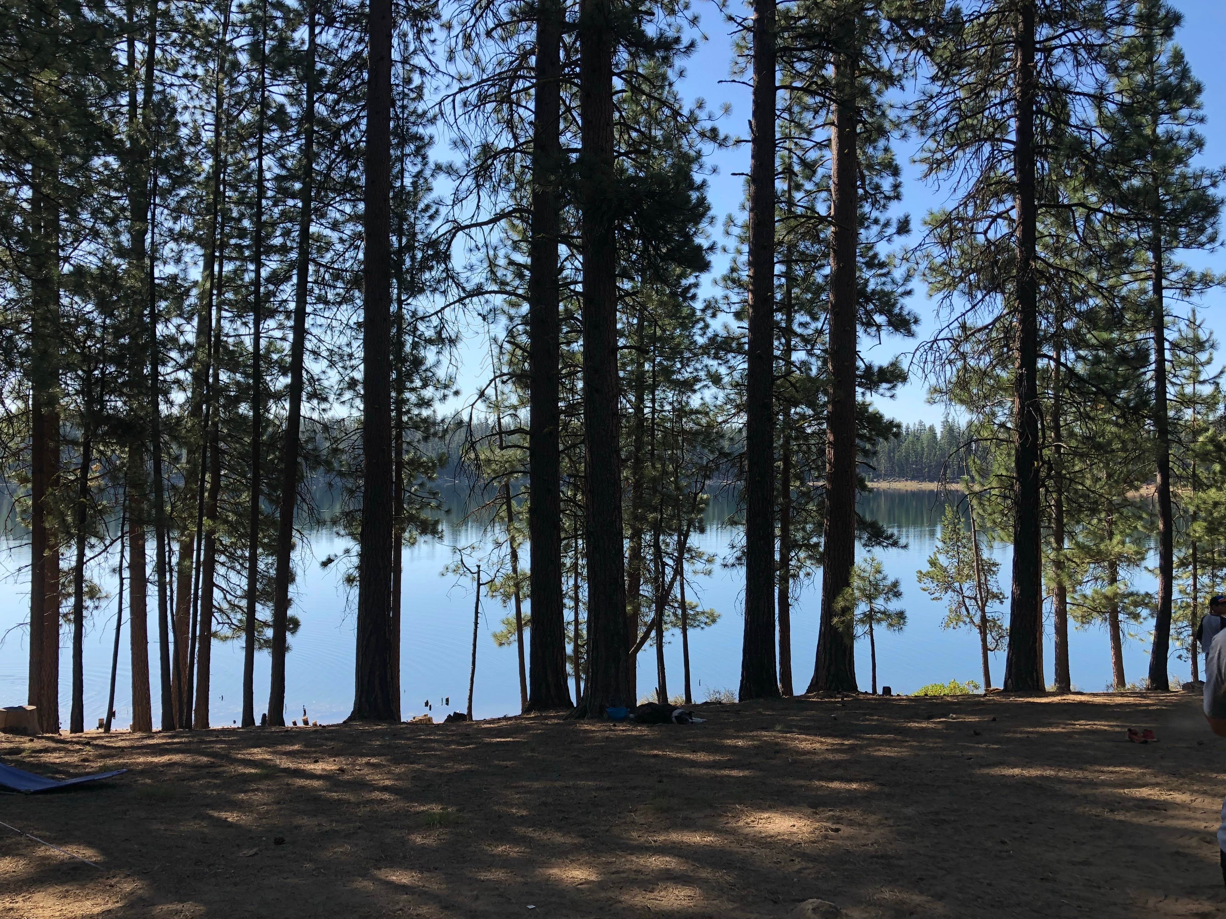 Camper-submitted photo at Twin Lakes Resort near Crescent, OR