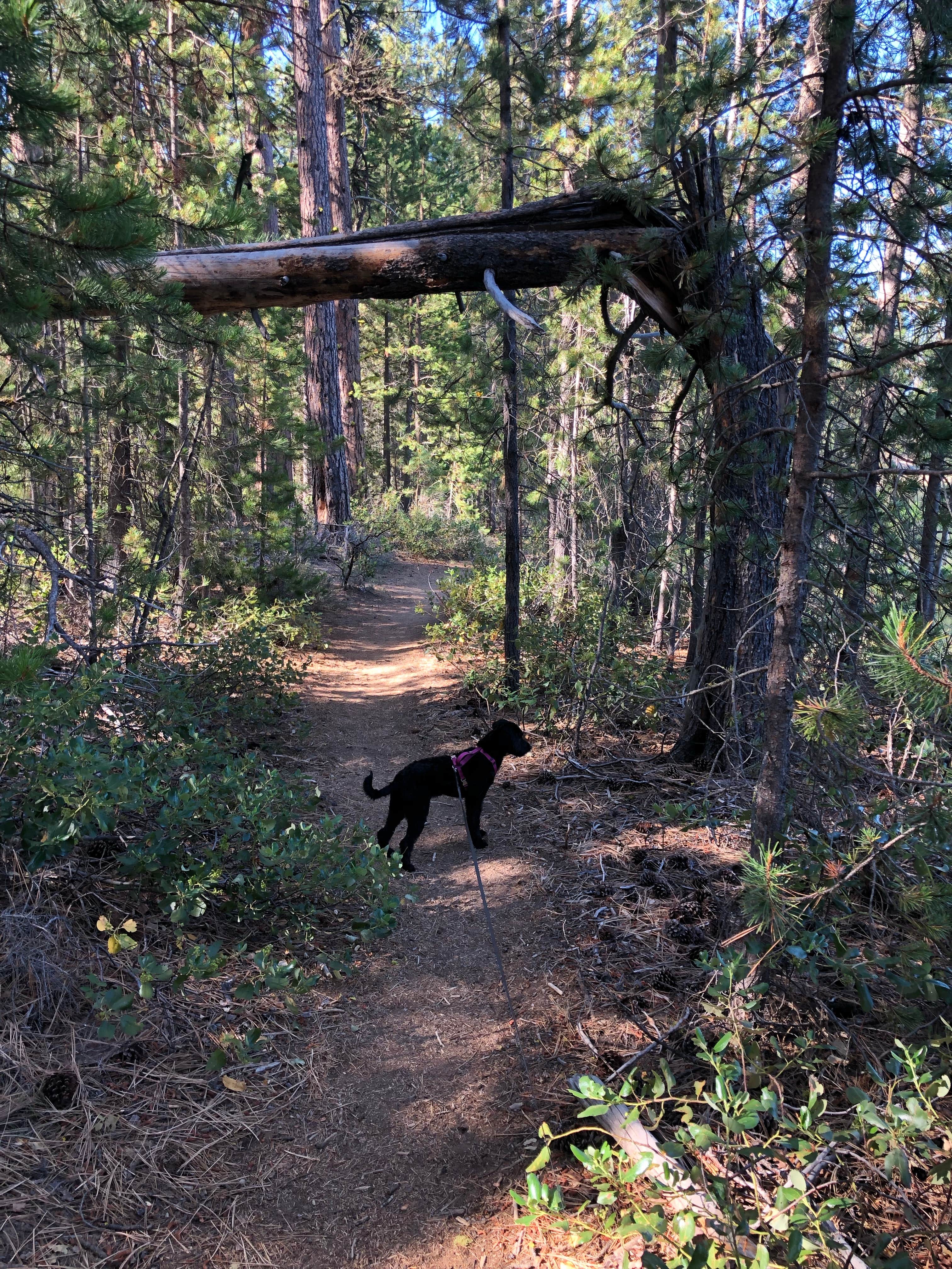 Camper-submitted photo at Twin Lakes Resort near Crescent, OR