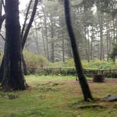 Review photo of Beverly Beach State Park Campground by Natalie B., October 30, 2017