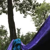 Review photo of Dunewood Campground — Indiana Dunes National Park by Ariel B., July 2, 2016