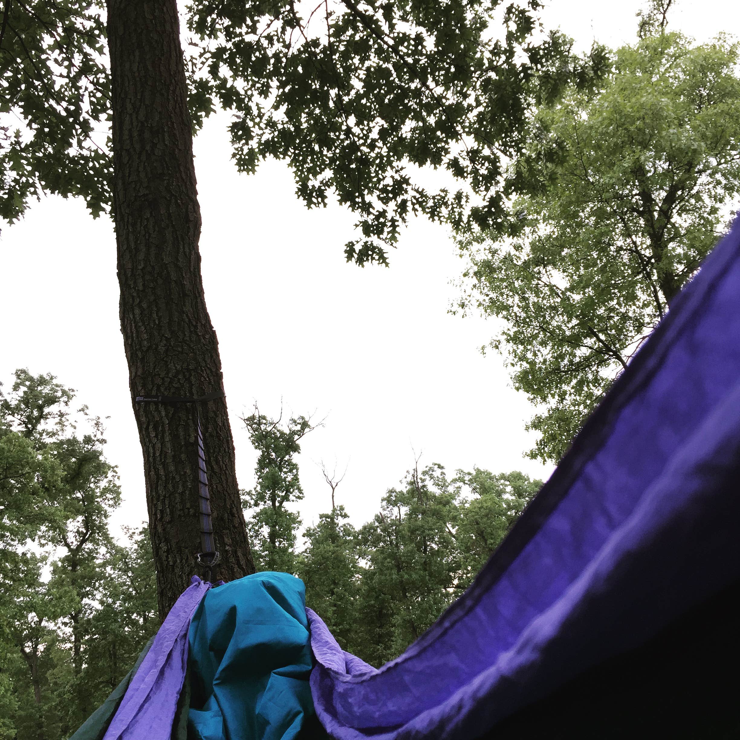 Camper submitted image from Dunewood Campground — Indiana Dunes National Park - 3