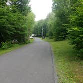 Review photo of Tobyhanna State Park Campground by Erik M., June 22, 2020