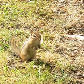 Review photo of Tobyhanna State Park Campground by Erik M., June 22, 2020