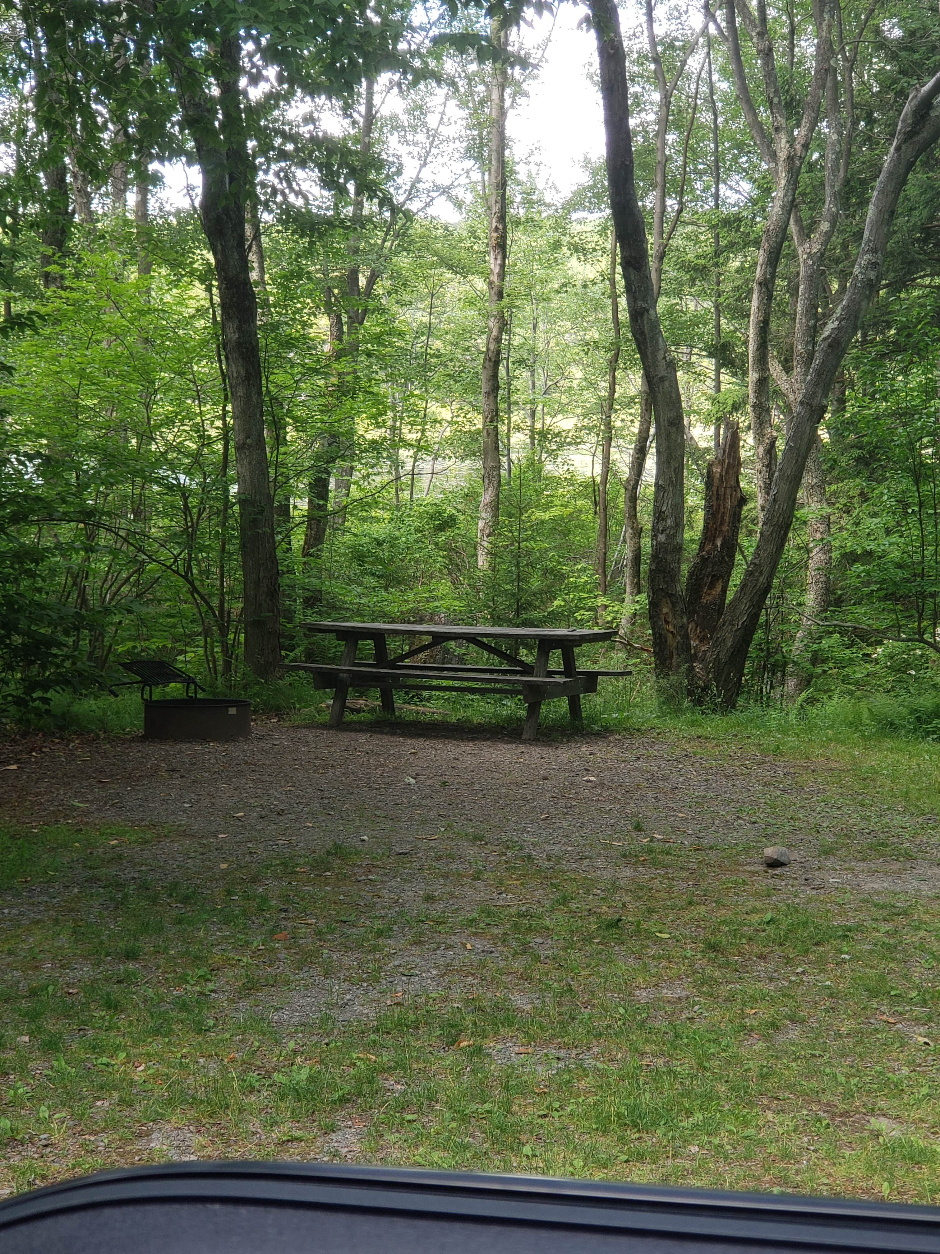 Cochecton photo 4
