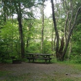 Review photo of Tobyhanna State Park Campground by Erik M., June 22, 2020