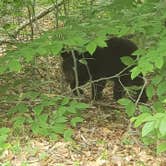 Review photo of Tobyhanna State Park Campground by Erik M., June 22, 2020