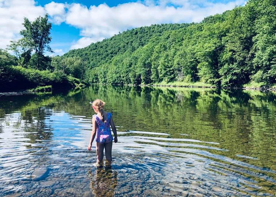 Roscoe Campsites Camping The Dyrt