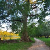 Review photo of Yogi Bear's Jellystone Park™ Guadalupe River by Toby L., June 22, 2020