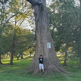 Review photo of Yogi Bear's Jellystone Park™ Guadalupe River by Toby L., June 22, 2020