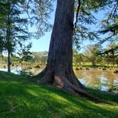 Review photo of Yogi Bear's Jellystone Park™ Guadalupe River by Toby L., June 22, 2020