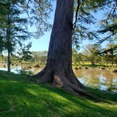 Review photo of Yogi Bear's Jellystone Park™ Guadalupe River by Toby L., June 22, 2020